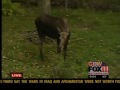 Dave the moose at the NEW Zoo passes away