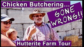 Chicken Butchering GONE WRONG! Raised Them To Fill The Freezer... Filled The Garbage Can Instead :(