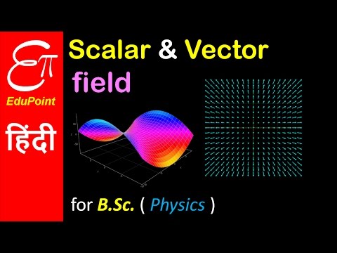 scalar vector scalar vector