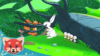 我的兔子朋友 插曲 #8 | 完整劇集 | 红熊动画