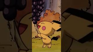 Camp Pikachu With The Pichu Bros