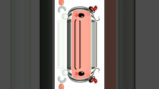 Cocomelon Special Intro Effects