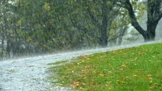 White Noise, Gentle Rain, Relaxing Sounds, Nature Sound, Sleep Sounds, Insomnia Help, ☯3326