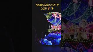 Chip N Dales Electric Waves Disneyland Night Parade Short