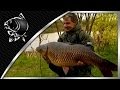 CARP FISHING - NASH TV - KEVIN NASH - 50LB 8OZ UK COMMON CARP - FROM 'KEVIN NASH - IN PURSUIT '