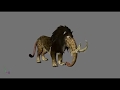 BLESS 3D models + animations 1 (.c4d)