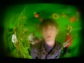 Big Leaves.wmv