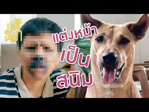 (EN) แต่งหน้าเป็นหมา จนหมางง - มหึหมา EP120
