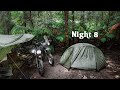 Camping from my Motorcycle in a Rainforest | Nature ASMR | Not Solo