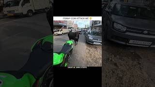 Cow Ne Attack Motovlogs
