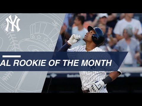 Miguel Andujar named AL Rookie of the Month for June