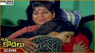 Chinna Kodalu Movie Vani Viswanath Best Climax Emotional Scene Suresh Shalimarcinema