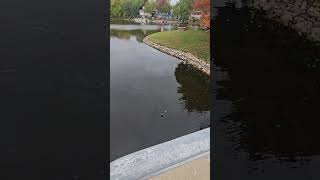Do You Think A Fish Will Bite This Jig With Nothing On It?