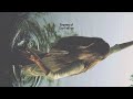 Empress of - Don't tell me