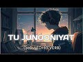 TU JUNOONIYAT | Slowed Reverb| The lofi songs