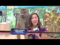 여자 리포터 가슴만지는 방송사고 Reporter Fail