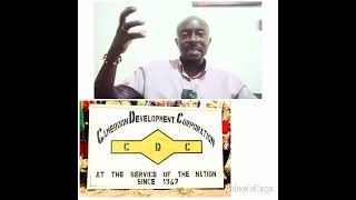 A Military And A Civilian Were Brutally Killed At The Cdc Plantation In Tiko. Who Killed Them?