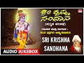 Kannada Harikathe - Srikrishna Sandhana | Sung By: Sant. Bhadragiri Achutadas |