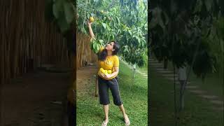 Honey Rose Lets Harvest Some Abius