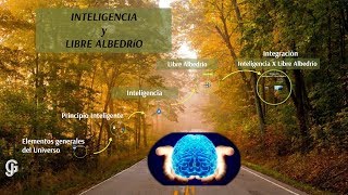 20180430 Palestra III Encuentro Ibero Americano Vigo Intel libre albedrio