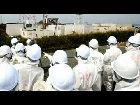 Fukushima fuels Japan Minister to renewable energy - Worldnews.