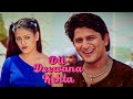 Dil Deewanaa Kehta Hai Ki Pyaar Kar | Udit Narayan | 90s Hindi Love Song