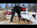 Our Alaska: Iditarod