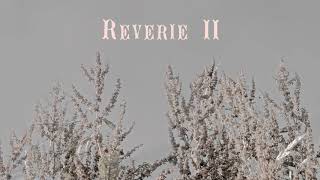 Johan Allerfeldt - Reverie II