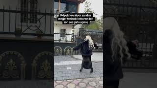 Hele Başıma Gelene Bakın
