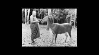 AJAHN CHAH - THE NATURAL MIND