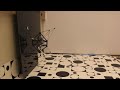 perching robot