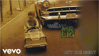 Watch Mr Big Not One Night video