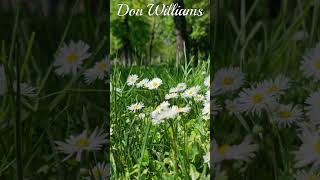 Watch Don Williams Catfish Bates video