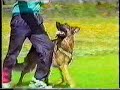 Собаковод! <br >Ваша собака Вас 