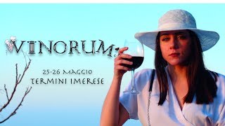 Vinorum 2018