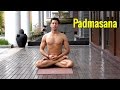 Padmasana, The Lotus posture for meditation in Yoga
