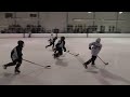 Lakeland Bolts vs. Blue Water Cobras - 1-20-13 - 3rd Period