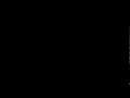 The Alpha Project