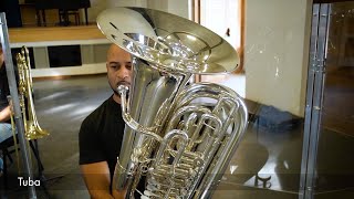 The Cape Town Philharmonic Orchestra School Concert: The Instruments of the Orchestra