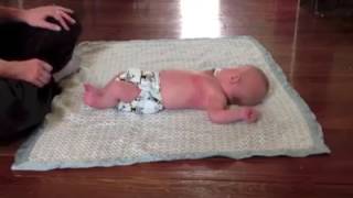 Primitive neonatal reflexes Primitive neonatal reflexes