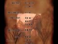 Glass Rose - Garasu no Bara End Credits