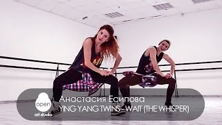 Watch Ying Yang Twins Open video