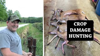 DEER DEPREDATION in Indiana with Jim Ryser