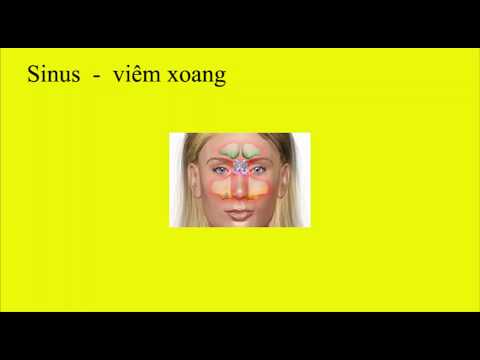 Từ Vựng Tiếng Anh - Về Y Khoa (Bệnh) phần 1