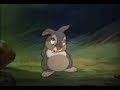 thumper