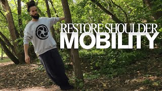 Hanging For Shoulder Mobility, Restoration, And Injury Prevention