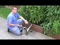 How to garden: Starting a Vegetable Garden