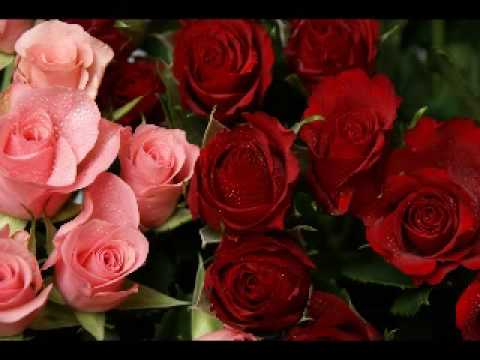 A R Rahman BGM Instrumental Tamil Sillunu Oru Kadhal