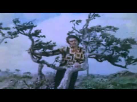 O Hansini Meri Hansini Kishore Kumar ZEHREELA INSAAN 1974...