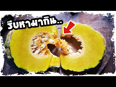ความลับนี้..!! คนสุขภาพดีเท่านั้นที่รู้ เรื่องที่คนที่กินฟักทองกลับคิดไม่ถึง | Nava DIY